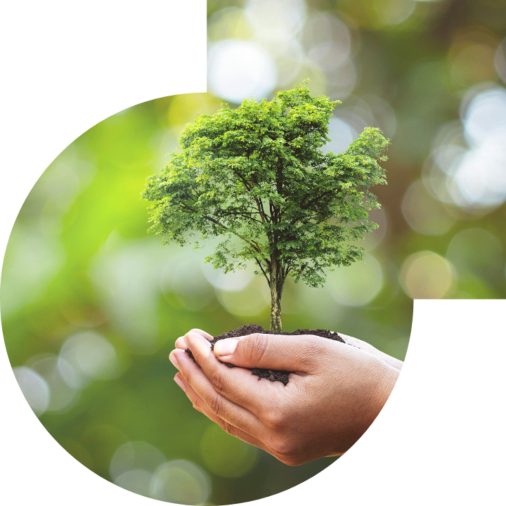 关怀人类、文化、环境与社会